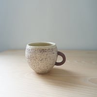 新納虫太郎　Dorokan Bruco W2M（茶）