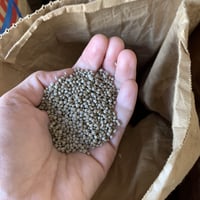 えごま白　100g