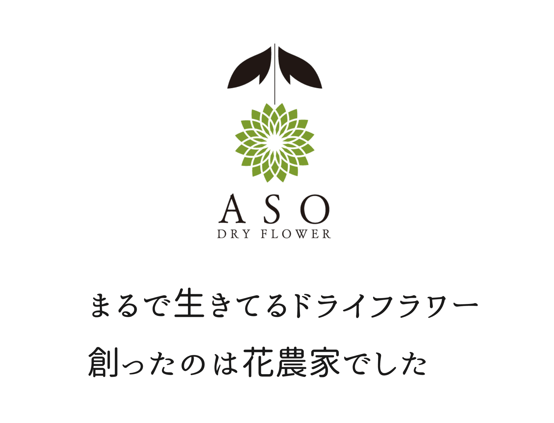 ABOUT US | 阿蘇ドライフラワー
