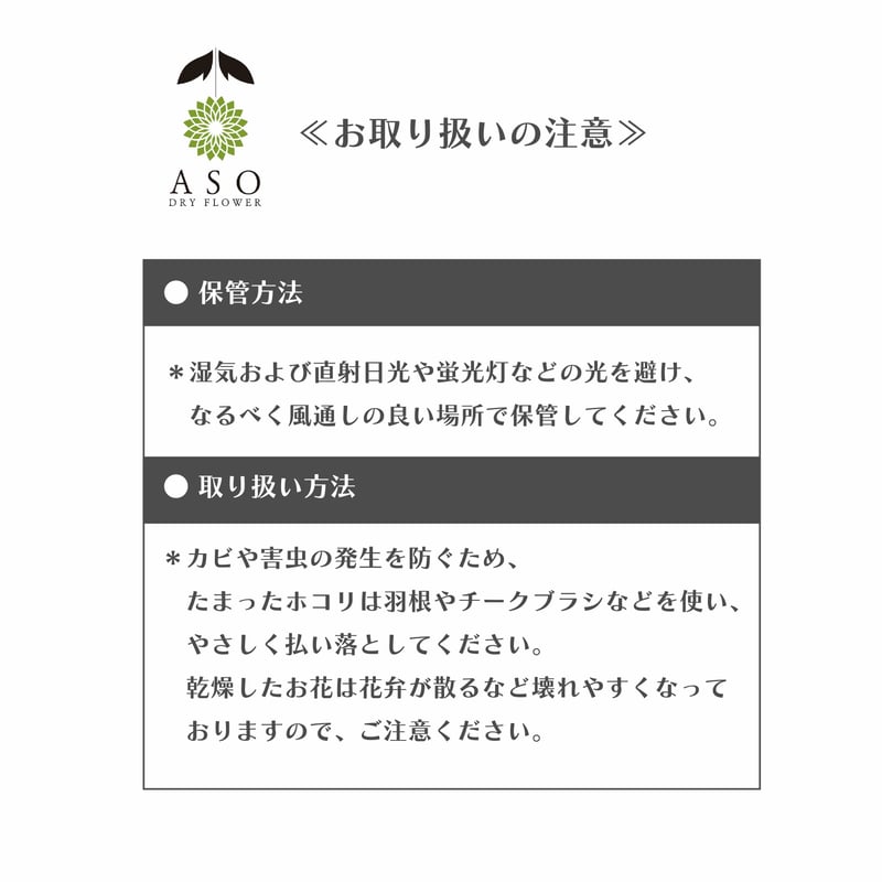 オリジナルリース用土台（単体販売） | 阿蘇ドライフラワー