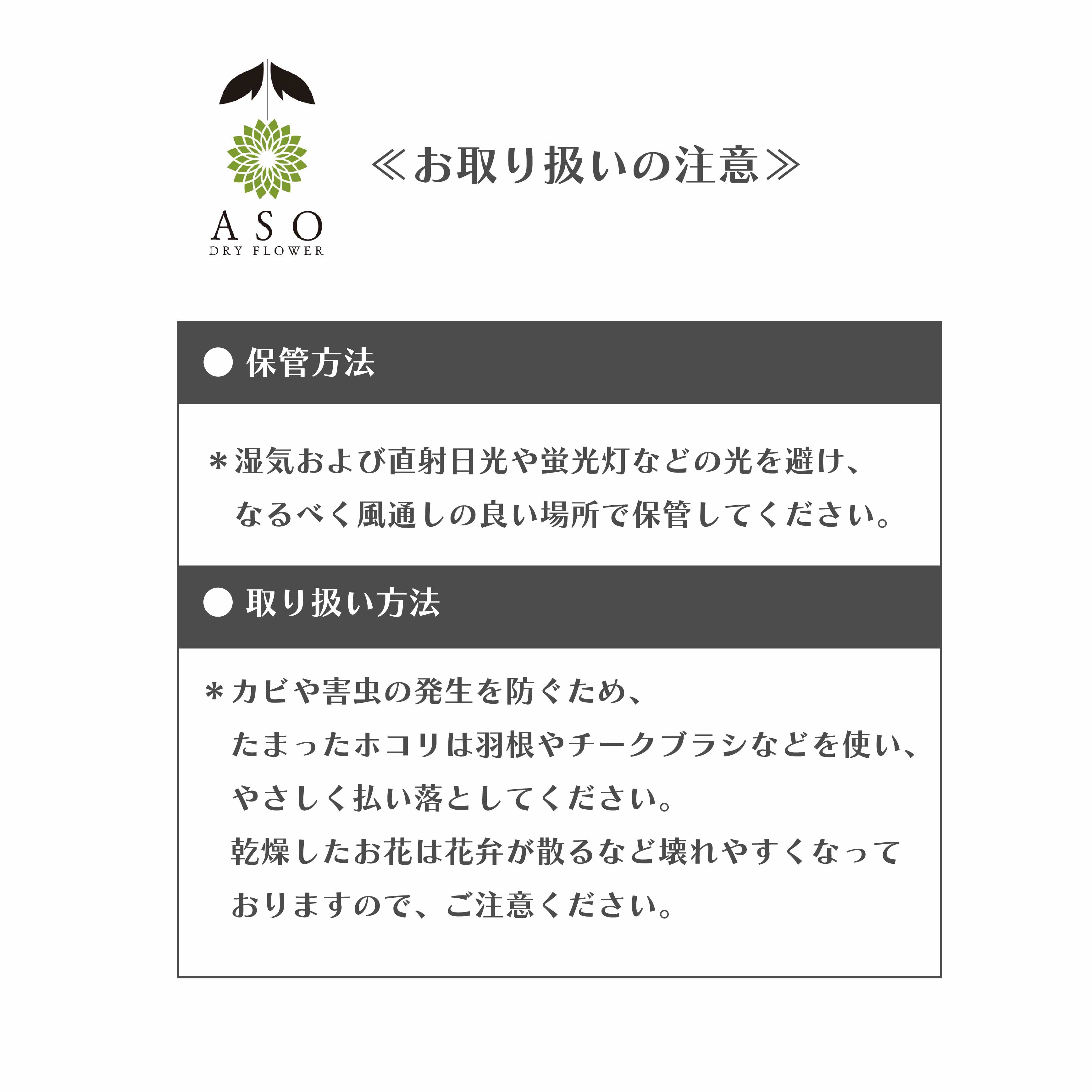オリジナルリース用土台（単体販売） | 阿蘇ドライフラワー