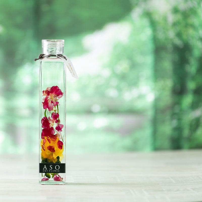 ≪受注販売商品≫ ASO DRYFLOWERハーバリウム 200ml（ケース付き
