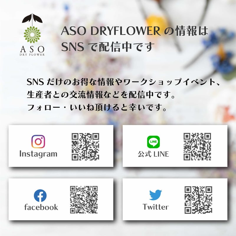 オリジナルリース用土台（単体販売） | 阿蘇ドライフラワー