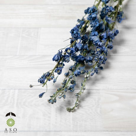 ドライフラワーシャ－ビ－なお花たちのフライングリース❁⃘*.゜ b818592a95f48bca56c47474590ff9