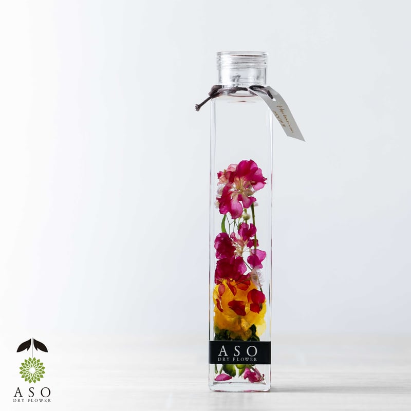 ≪受注販売商品≫ ASO DRYFLOWERハーバリウム 200ml（ケース付き