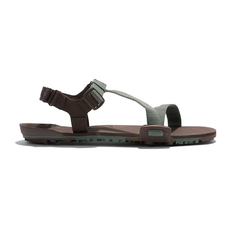 【XEROSHOES】Z-トレイルEV メンズ / Z-Trail EV Men's (Dark Forest/Java Brown)