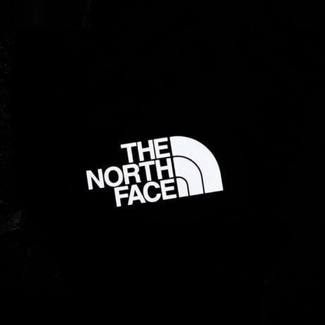 【THE NORTH FACE】ティーアール 10 / TR 10 (K)
