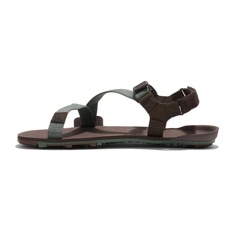 【XEROSHOES】Z-トレイルEV メンズ / Z-Trail EV Men's (Dark Forest/Java Brown)