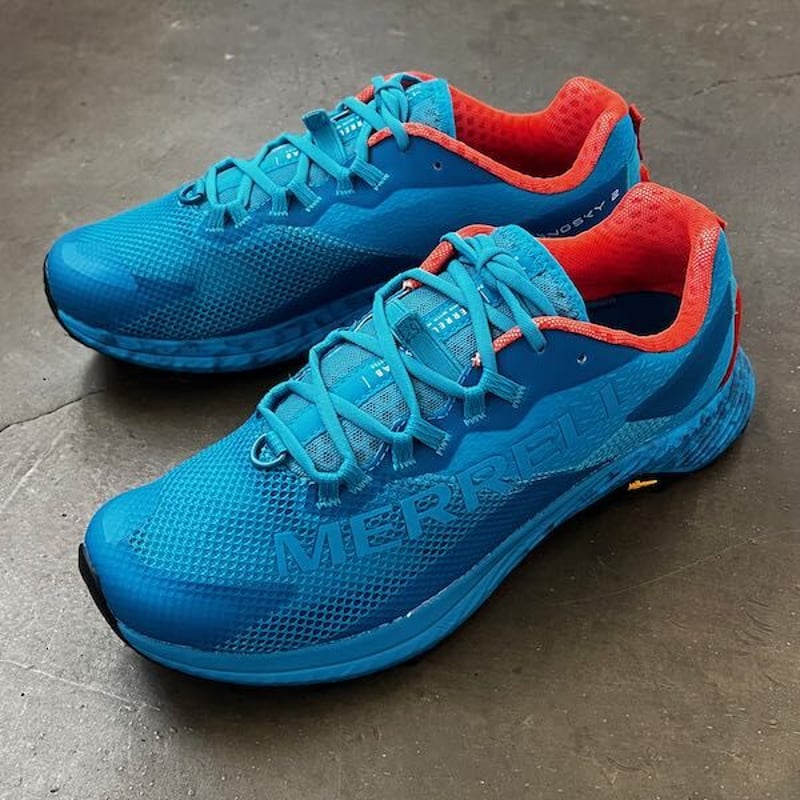 blue skyさん用 Adidas zx 8000 Or homme clearance