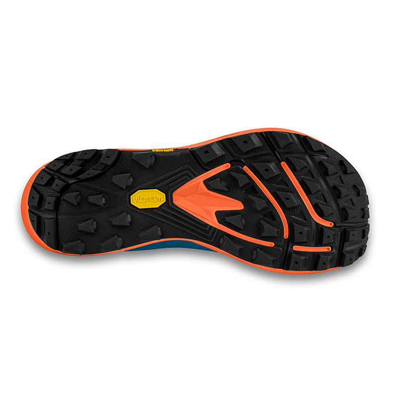 ホレマニー オレンジ ③ ホレマニー オレンジ ③ ホレマニー オレンジ ③ エキノドルス