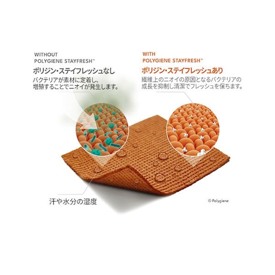 66b8607c6ebf643ab4cc2f14