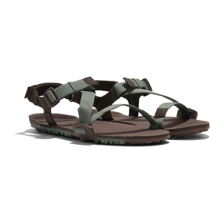 【XEROSHOES】Z-トレイルEV メンズ / Z-Trail EV Men's (Dark Forest/Java Brown)