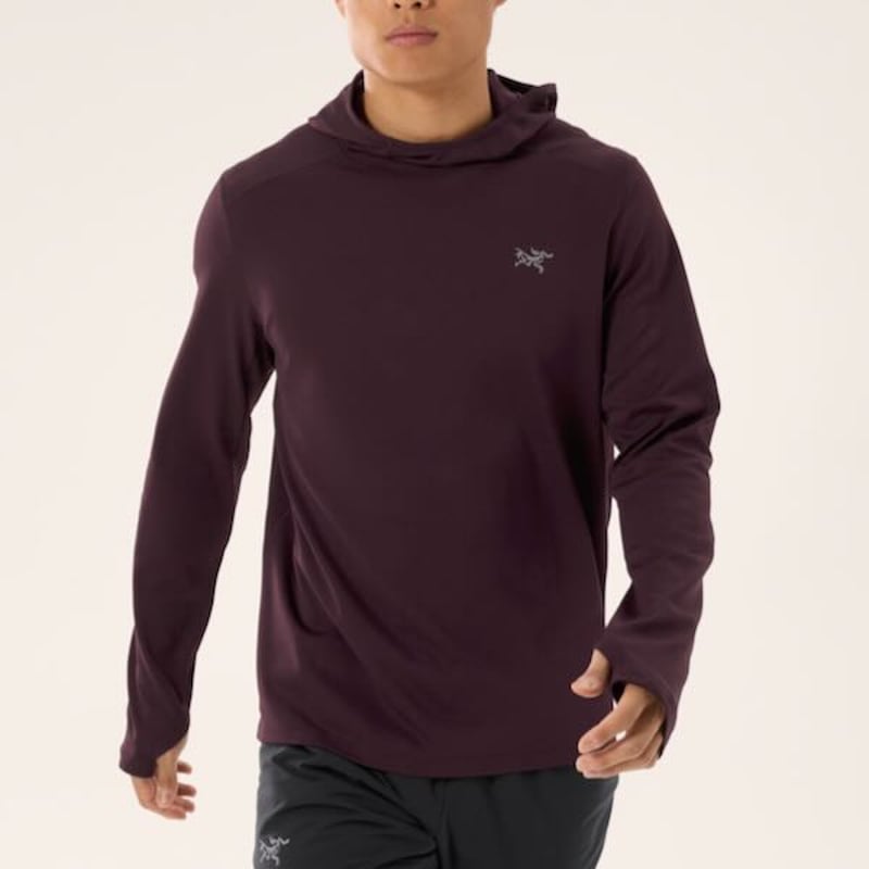 ARC'TERYX】コーマック ヘビーウェイト フーディ メンズ ARC'TERYX】コーマック ヘビーウェイト フーディ メンズ