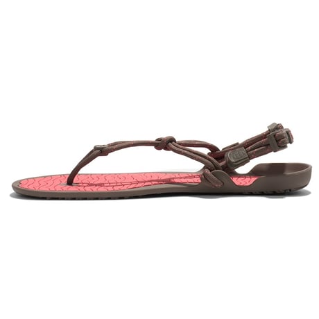 【XEROSHOES】アクアクラウド ウィメンズ / Aqua Cloud Women's (Morel/Sunset Coral)