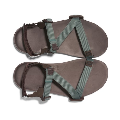 【XEROSHOES】Z-トレイルEV メンズ / Z-Trail EV Men's (Dark Forest/Java Brown)