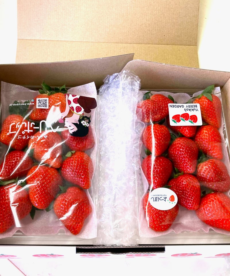 厳選イチゴ食べ比べセット【1箱2パック】 | スズキ農園