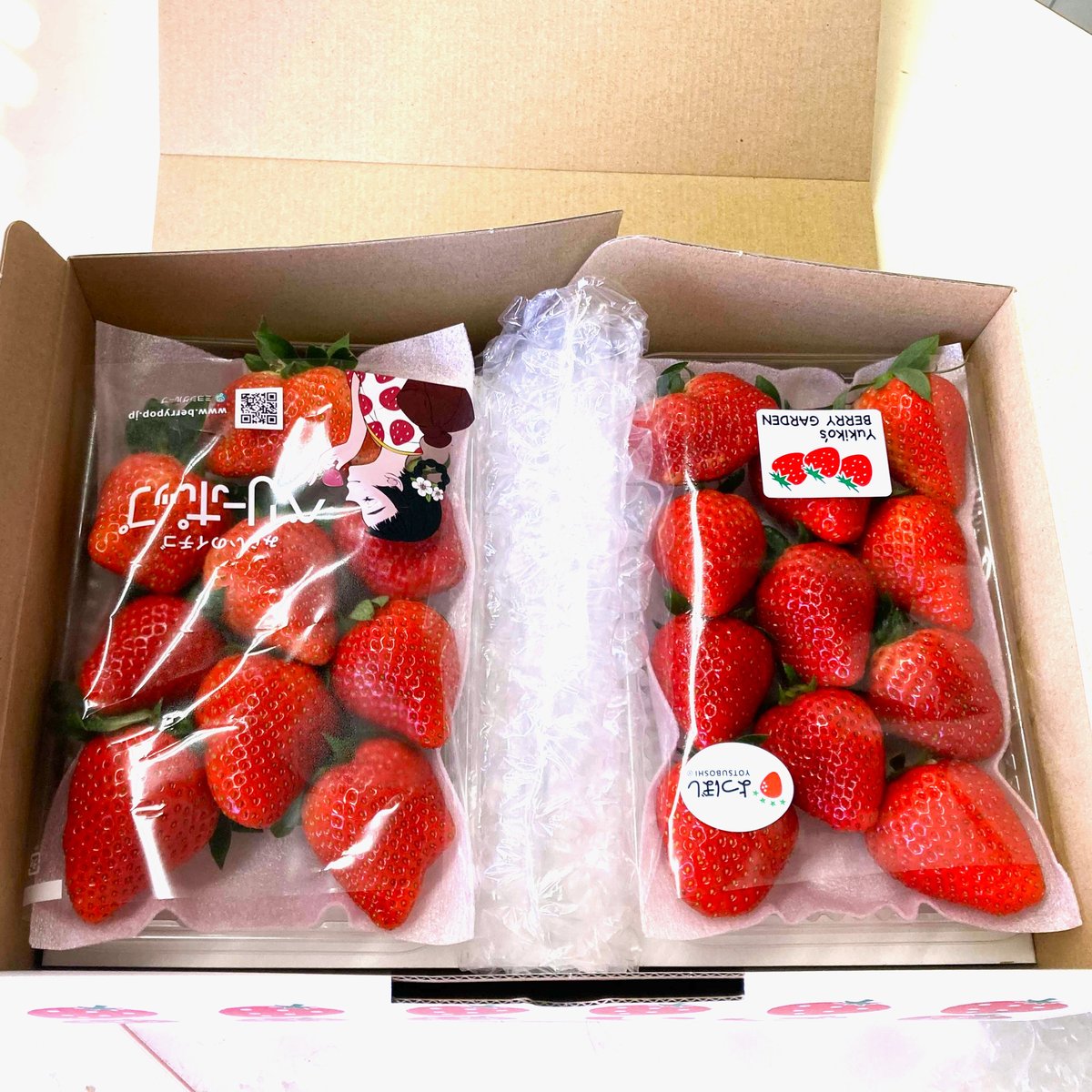 厳選イチゴ食べ比べセット【1箱2パック】 | スズキ農園
