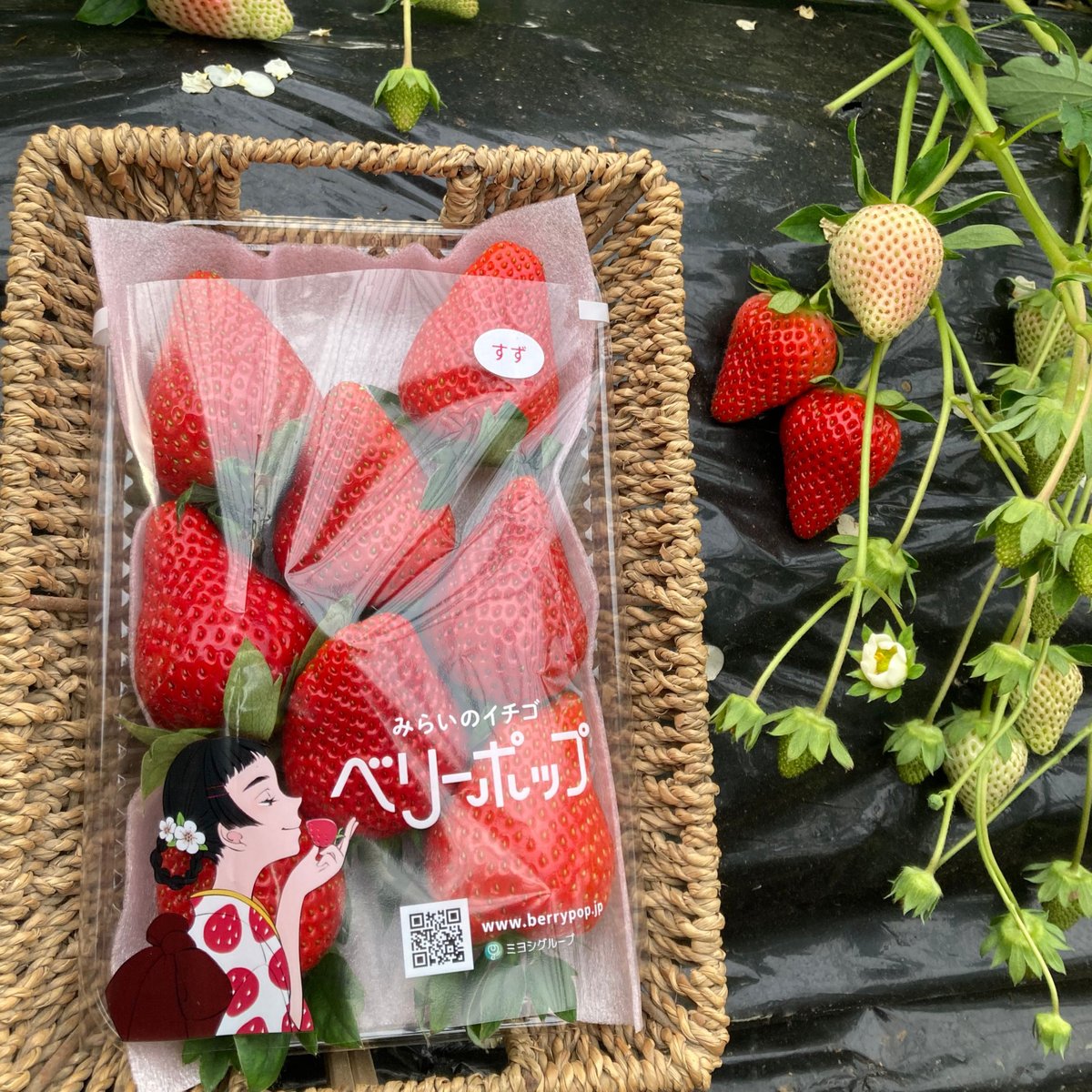 fit=scale-down,w=1200