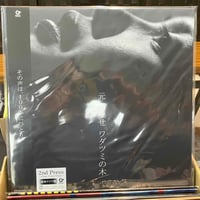 8月末に再入荷します！！！注文前に必ずDM下さい！ Dick Lee Mad