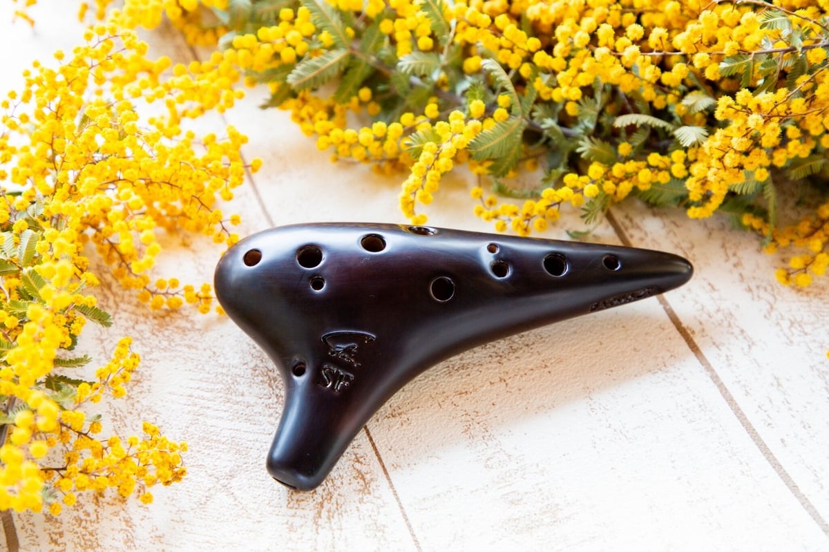 Focalink 漆仕上げ ソプラノF管 | aigenshop