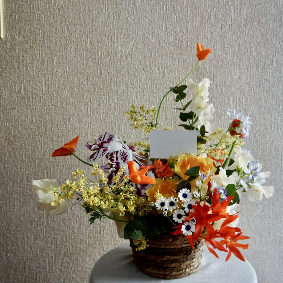 69dcbf19f6cbf00ef1149a0c