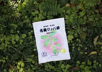 有機グァバ茶