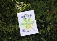 有機びわ茶
