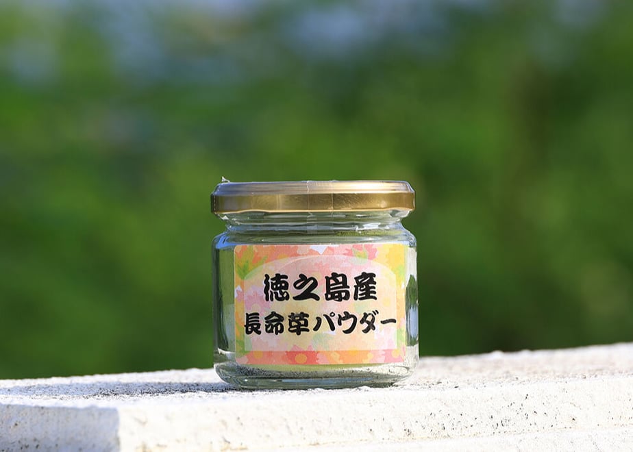 63f99dbfd191237d8072e855