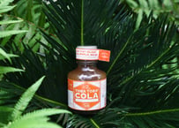 TOBA TOBA COLA シロップ