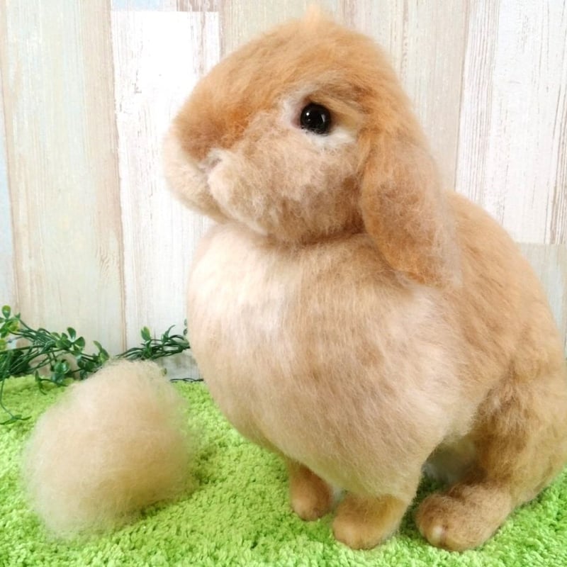うさぎ様ウィッグオーダー専用ページ ｵｰﾀﾞｰ】うさぎ等身大(体重1.5㎏以上2.0㎏未満) | iichi 日々の