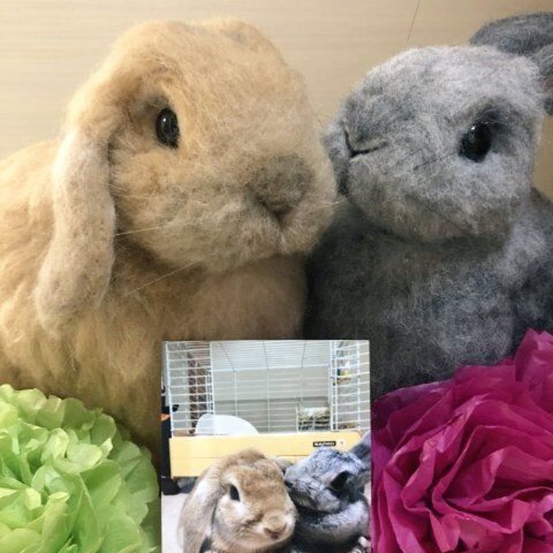 オーダー】うさぎ等身大(体重2.0㎏以上2.5㎏未満) | うーらんどーる オーダー】うさぎ等身大(体重2.0㎏以上2.5㎏未満) | うーらんどーる
