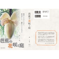 芭蕉の花咲く庭