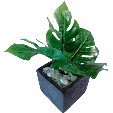 DiamondPlants　Short　ヒメモンステラ　次世代型インテリアグリーン　空気清浄効果　人工観葉植物