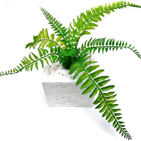 DiamondPlants　Short　シダ　次世代型インテリアグリーン　空気清浄効果　人工観葉植物