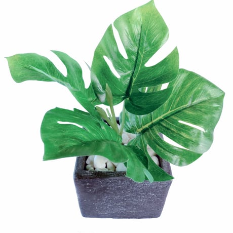 DiamondPlants　Short　ヒメモンステラ　次世代型インテリアグリーン　空気清浄効果　人工観葉植物