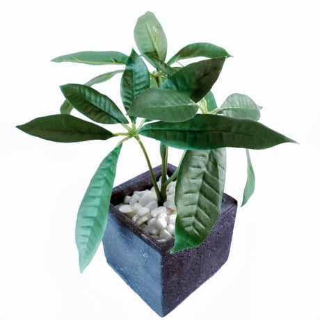 DiamondPlants　Short　パキラ　次世代型インテリアグリーン　空気清浄効果　人工観葉植物