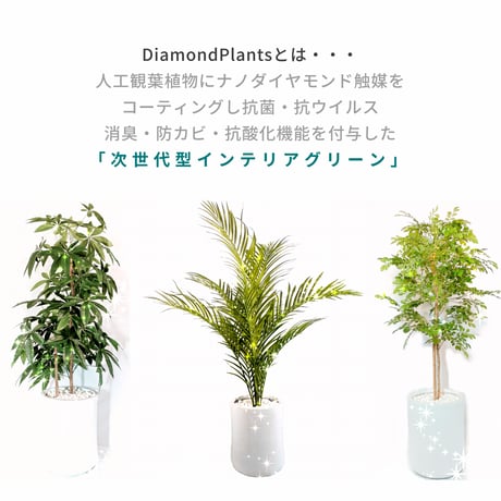DiamondPlants　Short　ヒメモンステラ　次世代型インテリアグリーン　空気清浄効果　人工観葉植物