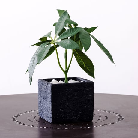 DiamondPlants　Short　パキラ　次世代型インテリアグリーン　空気清浄効果　人工観葉植物