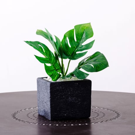 DiamondPlants　Short　ヒメモンステラ　次世代型インテリアグリーン　空気清浄効果　人工観葉植物