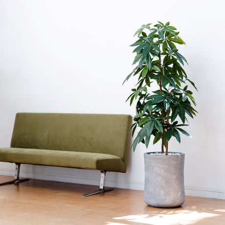 DiamondPlants　Grande  パキラ　次世代型インテリアグリーン　空気清浄効果　人工観葉植物
