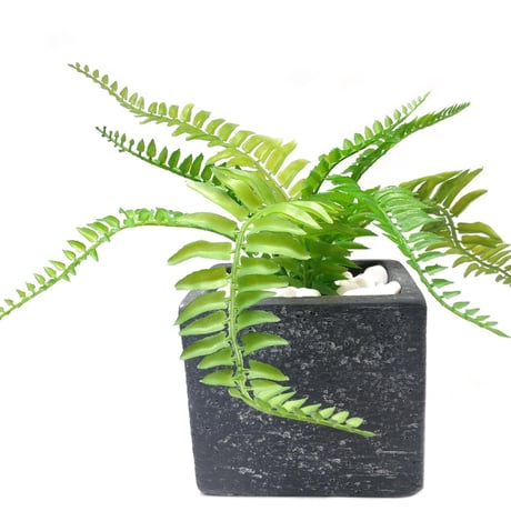 DiamondPlants　Short　シダ　次世代型インテリアグリーン　空気清浄効果　人工観葉植物