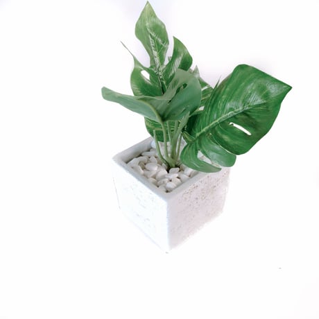 DiamondPlants　Short　ヒメモンステラ　次世代型インテリアグリーン　空気清浄効果　人工観葉植物