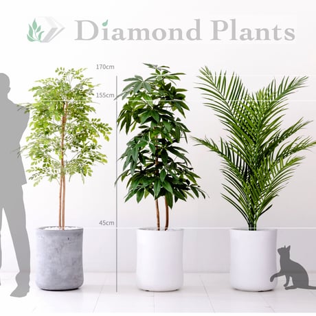 DiamondPlants　Grande  パキラ 　次世代型インテリアグリーン　空気清浄効果　人工観葉植物 [設置・廃材回収サービス付]