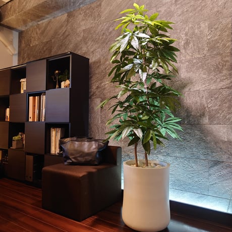 DiamondPlants　Grande  パキラ 　次世代型インテリアグリーン　空気清浄効果　人工観葉植物 [設置・廃材回収サービス付]