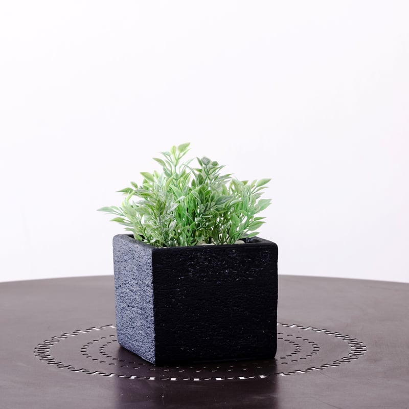 DiamondPlants Short ティーリーフ 次世代型インテリアグリーン