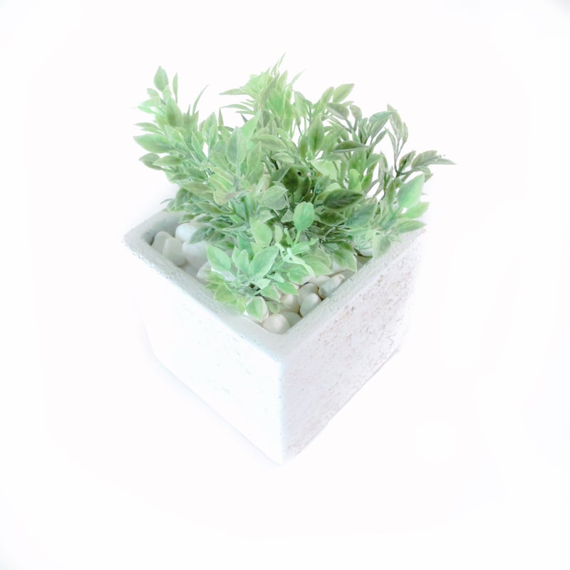 DiamondPlants Short ティーリーフ 次世代型インテリアグリーン