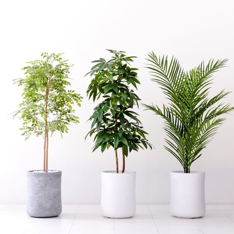 Diamond Plants　Grande　アレカヤシ　次世代型インテリアグリーン　空気清浄効果　人工観葉植物