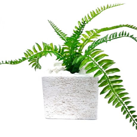 DiamondPlants　Short　シダ　次世代型インテリアグリーン　空気清浄効果　人工観葉植物