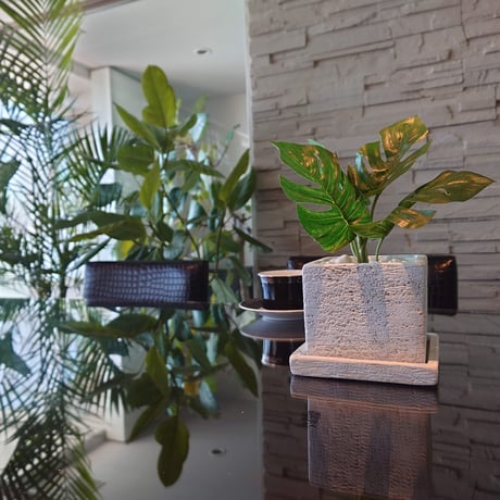 DiamondPlants　Short　ヒメモンステラ　次世代型インテリアグリーン　空気清浄効果　人工観葉植物