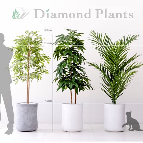 DiamondPlants　Grande  トネリコ 　次世代型インテリアグリーン　空気清浄効果　人工観葉植物[設置・廃材回収サービス付]